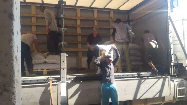 Loading bagged licorice root into a truck