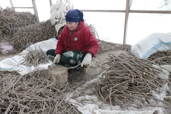 Cutting sticks by hand