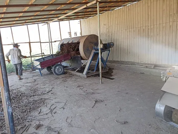 Rotating drum sieve cleaning sticks
